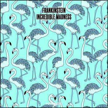 Frankinstein - Incredible Madness