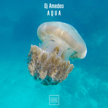 Dj Amedeo - Aqua