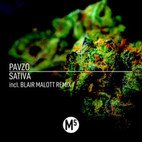 Pavzo - Sativa