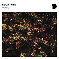 Delux Twins - Work It