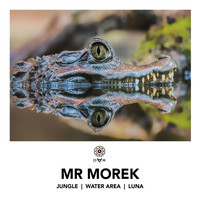 Mr Morek - Jungle