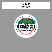 P.I.M.P. - Why? (Remastered 2017)