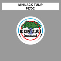 Minijack Tulip - PZ/DC