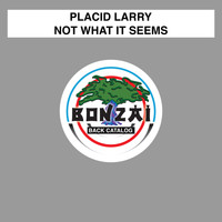 Placid Larry - Not What It Seems