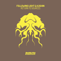 Following Light & K.Oshkin - Return To Sources