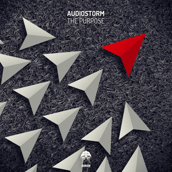 AudioStorm - The Purpose