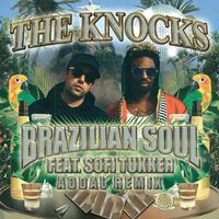 The Knocks - Brazilian Soul (feat. Sofi Tukker) (Addal Remix)