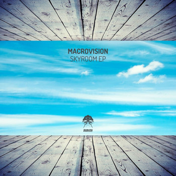 MacroVision - Skyroom EP