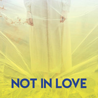 Miami Beatz - Not in Love