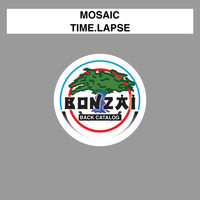 Mosaic - Time.Lapse
