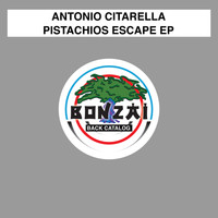 Antonio Citarella - Pistachios Escape EP