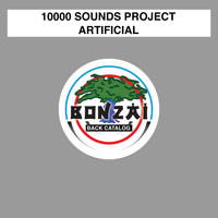 10000 Sounds Project - Artificial