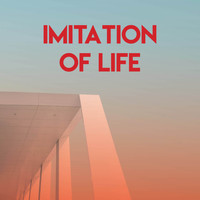 Graham Blvd - Imitation of Life