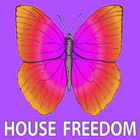 Rousing House - I Fly