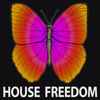 Rousing House - I Fly (21 ROOM Remix)