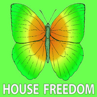 Rousing House - Piano Retro
