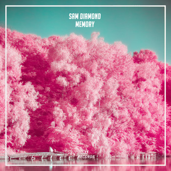 Sam Diamond - Memory