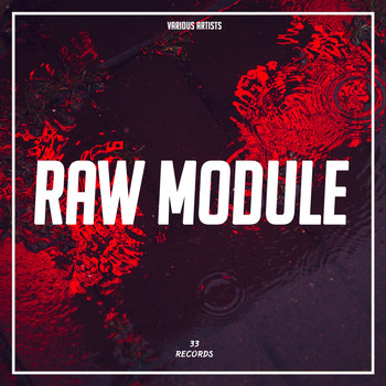 Various Artists - Raw Module (Explicit)