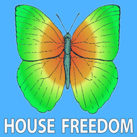Rousing House - Wild West