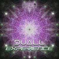 Duall - Experience