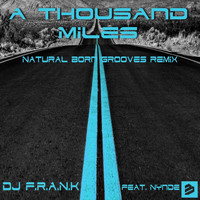 DJ F.R.A.N.K - A Thousand Miles (Natural Born Grooves Remix)