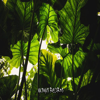 Draud - Feelings EP