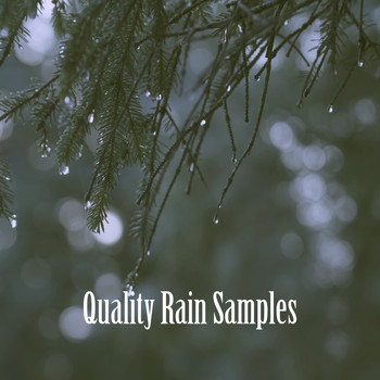 Nature Sounds, White Noise Therapy and Sleep Sounds of Nature - Quality Rain Samples