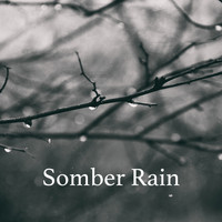 Rain, Ocean Sounds and Rainfall - Somber Rain