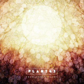 Plant43 - From Deep Streams