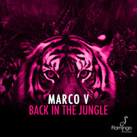 Marco  V - Back In The Jungle