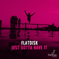 Flatdisk - Just Gotta Have It
