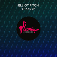 Elliot Fitch - Shake EP