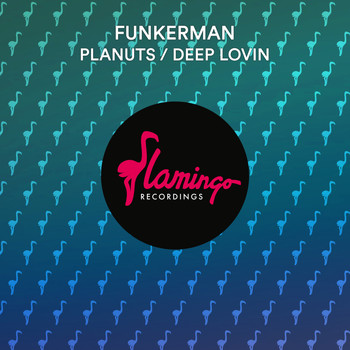 Funkerman featuring JoeDNA - Planuts / Deep Lovin