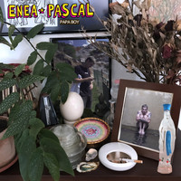 Enea Pascal - Papa Boy