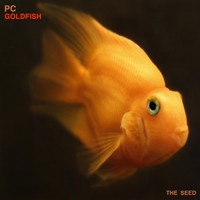 Pc - Goldfish