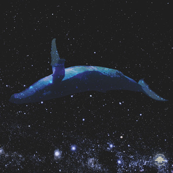 Hans Berg - Whales