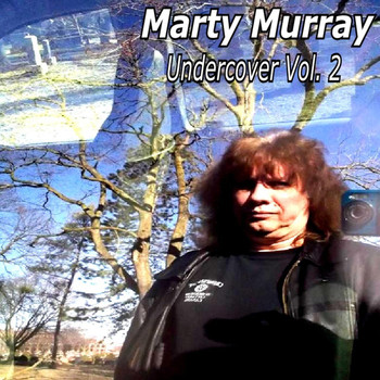 Various Artists - Undercover Vol. 2