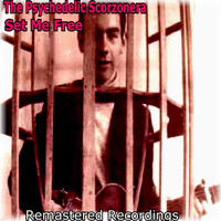 The Psychedelic Scorzonera - Set Me Free