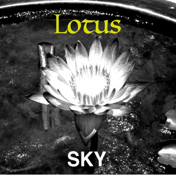 Sky - Lotus