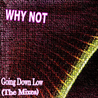 Why Not - Going Down Low (The Mixes)