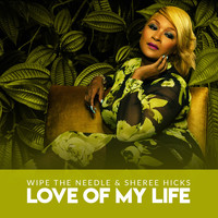 Wipe The Needle & Sheree Hicks - Love Of My Life