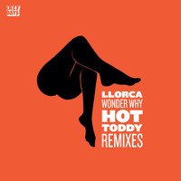 Llorca - Wonderwhy: Hot Toddy Remixes