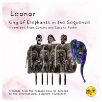 Leonor - King of Elephants in the Sequence
