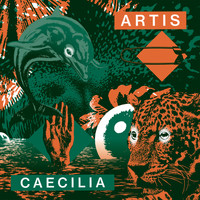 artis - Caecilia