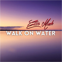 Ellis Miah - Walk on Water