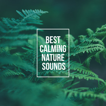Nature Sounds - Best Calming Nature Sounds – Relax Your Body & Mind with Nature New Age Music