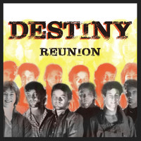 Destiny - Reunion