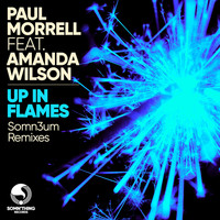 Paul Morrell featuring Amanda Wilson - Up in Flames (Somn3um Remixes)