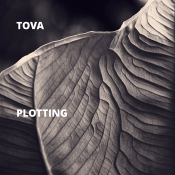 Tova - Plotting (Explicit)