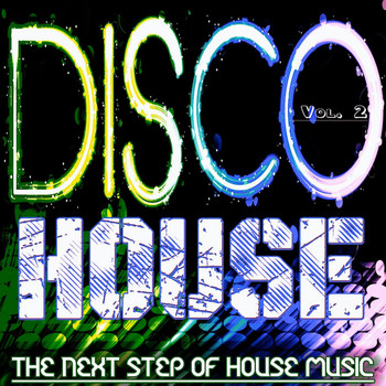 Various Artists - Disco House,Vol.2 (The Next Step of House Music)